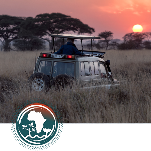 Privately Guided Safaris